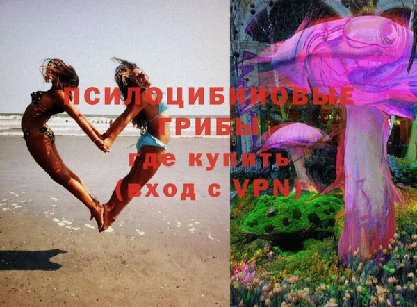 МДМА Богданович