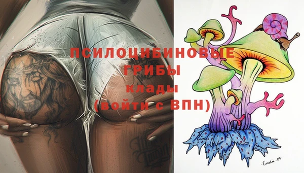 МДМА Богданович
